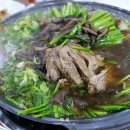 능이와백숙구영리