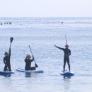 디오스테이2 이미지