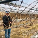 이관재농장 이미지