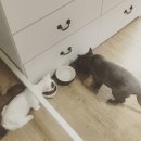 LG전자 강북서비스센터 이미지