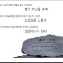 직업재활시설 어울림터
