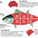 청참치 이미지