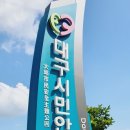 대자동 라온 목요라이딩 팔공산 독불사 동화사 파계사 이미지