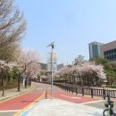 개나리꽃집 이미지