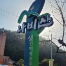 영덕식당 | 영덕 나비산기사식당 세번째방문 대구탕 맛집 후기