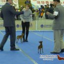 팜랜드02