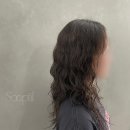 숩틸 이미지