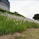 동남공원 이미지