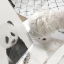 리뮤앳홈