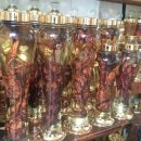 김종군농장 이미지