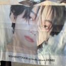 (주)하나푸드서비스(서진캠) | #24. 내 젊음이 가 버린 보넥도 정규앨범 활동기 2편