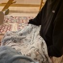 반갑다 창문밖 고양이 이미지