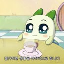 스타아울렛 이미지