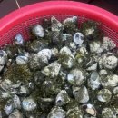 그리운자리민박 이미지