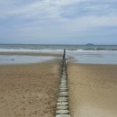 안면도시골농산 이미지