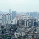 신호오피스 이미지