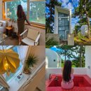 하도행복펜션 | 제주 구좌읍 숙소 제주도 독채 펜션 동쪽 자쿠지 숙소