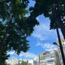 드라이존 | 분당 미금역 미용실 헤어다이아 레이어드컷, 염색, cs컬 드라이 후기