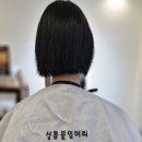 샬롬 붙임머리 이미지