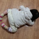 아이랑어린이집 이미지