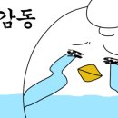 온동물병원 이미지