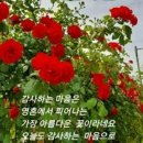 Elliott Roy Duglas 상병 이야기 이미지