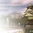 대판수사 이미지