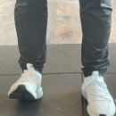 테리스짐 이미지