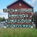 돌고래오토캠핑장2 | 망상 제2오토캠핑장 여름휴가 후기 사이트 및 시설 소개