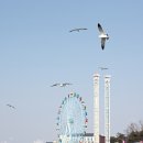 월미 테마파크 이미지