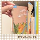 비디오플러스 책 | 5세 영어 반응 좋은 유아영어책 잉글리시에그 블루