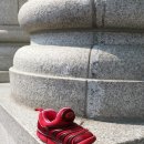 제주한라대학교 이미지