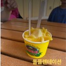 미로농장 | [하와이 여행] 아이랑 함께 파인애플 농장 방문! (돌플렌테이션, 기차 타기)