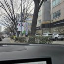 르노코리아 원주대리점 | 울산 르노코리아 남울산대리점 방문 후기, 콜레오스 하이브리드 시승하고 필랑트 실물까지