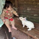 산양리 | 제주 여행 가볼만한곳 | 산양큰엉곶 아기랑 다녀온 최신후기 (소요시간, 포토스팟 소개)