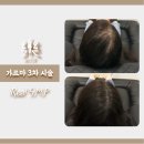 도트락