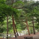 수봉야영장 이미지