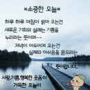 동해청정 티스토리
