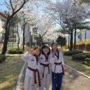 용인대 홍익 태권도장 이미지