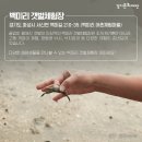 [제부마을]쏙잡이체험