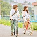 식물도감 이미지