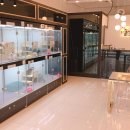 천안고양이 분양 퍼스트캣 본점 이미지