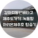 강아지동반배타고제주도가기::녹동여객선터미널::아리온제주호