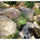 큰골민박 이미지