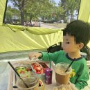 다인도시락 | 아이랑 가기 좋은 경기도 공원 / 시흥갯골생태공원 그늘막 도시락 후기 :)