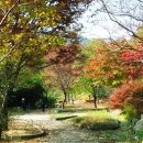 &#34;가을밤 소고기와 와인파티!!!&#34; 이미지