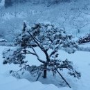 뜨레난농장 이미지