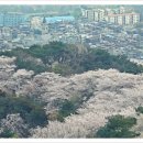 순환로 405번길 이미지