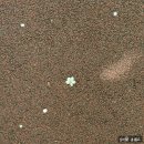 주-011-사창초등학교 앞(회) | 일상_011