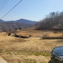 목천농장 네이버블로그